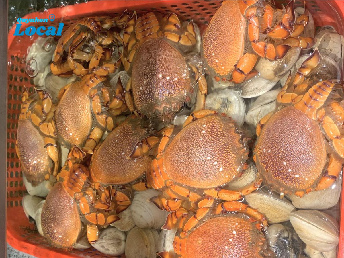 Hải sản tươi Quy Nhơn