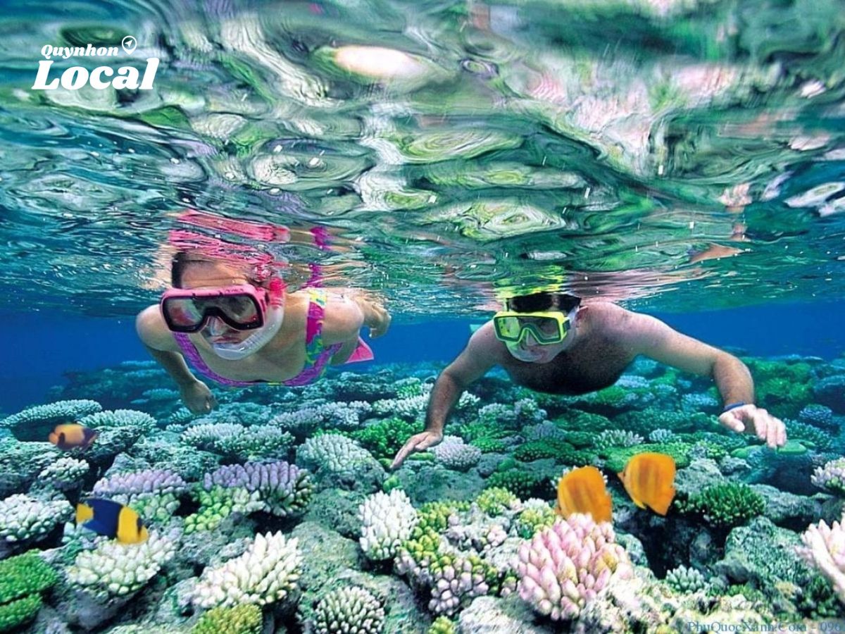 Khám phá những rạn san hô tuyệt đẹp