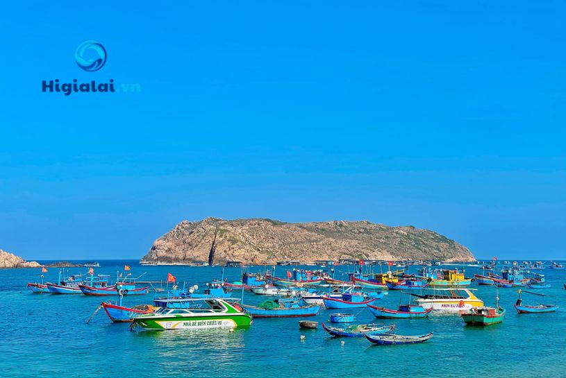 Các điểm tham quan tại Quy Nhơn