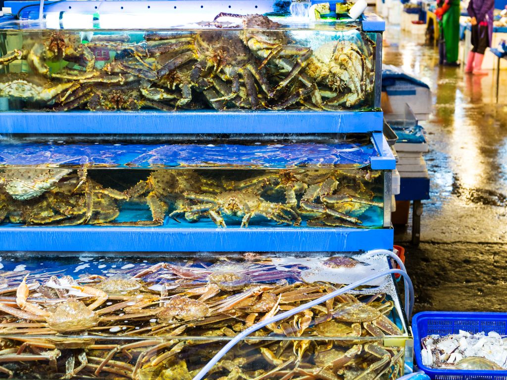 Chợ hải sản Quy Nhơn