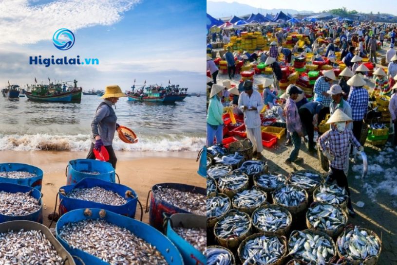 chợ hải sản Quy Nhơn