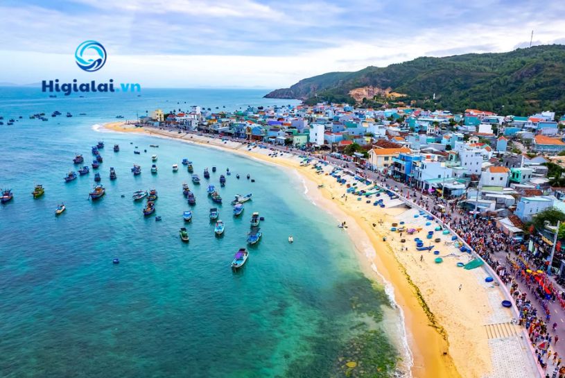 quy nhơn có gì chơi
