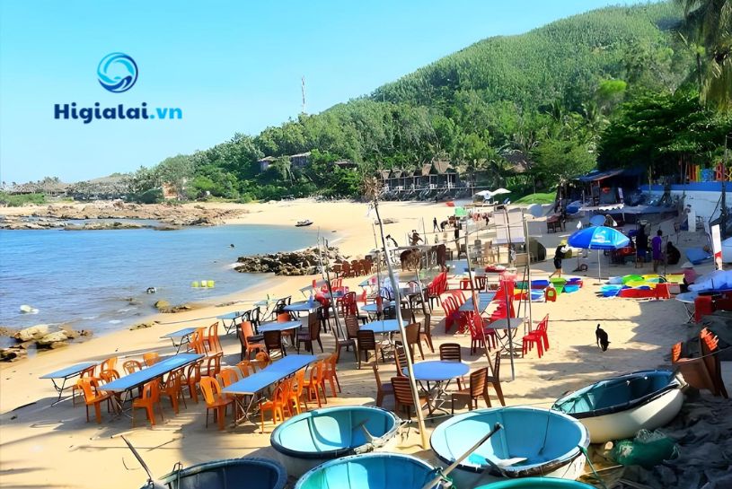 quy nhơn có gì chơi