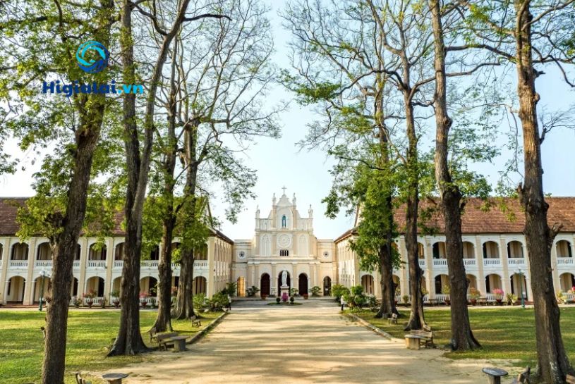 quy nhơn có gì chơi