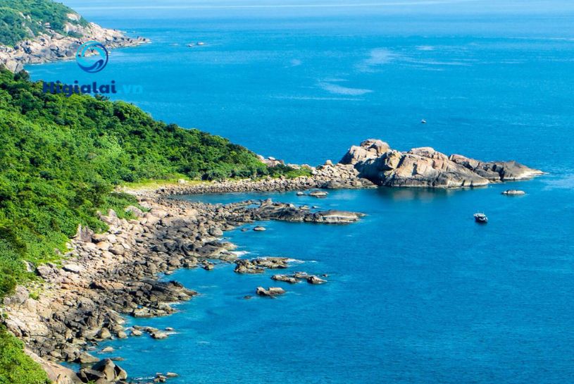 quy nhơn có gì chơi
