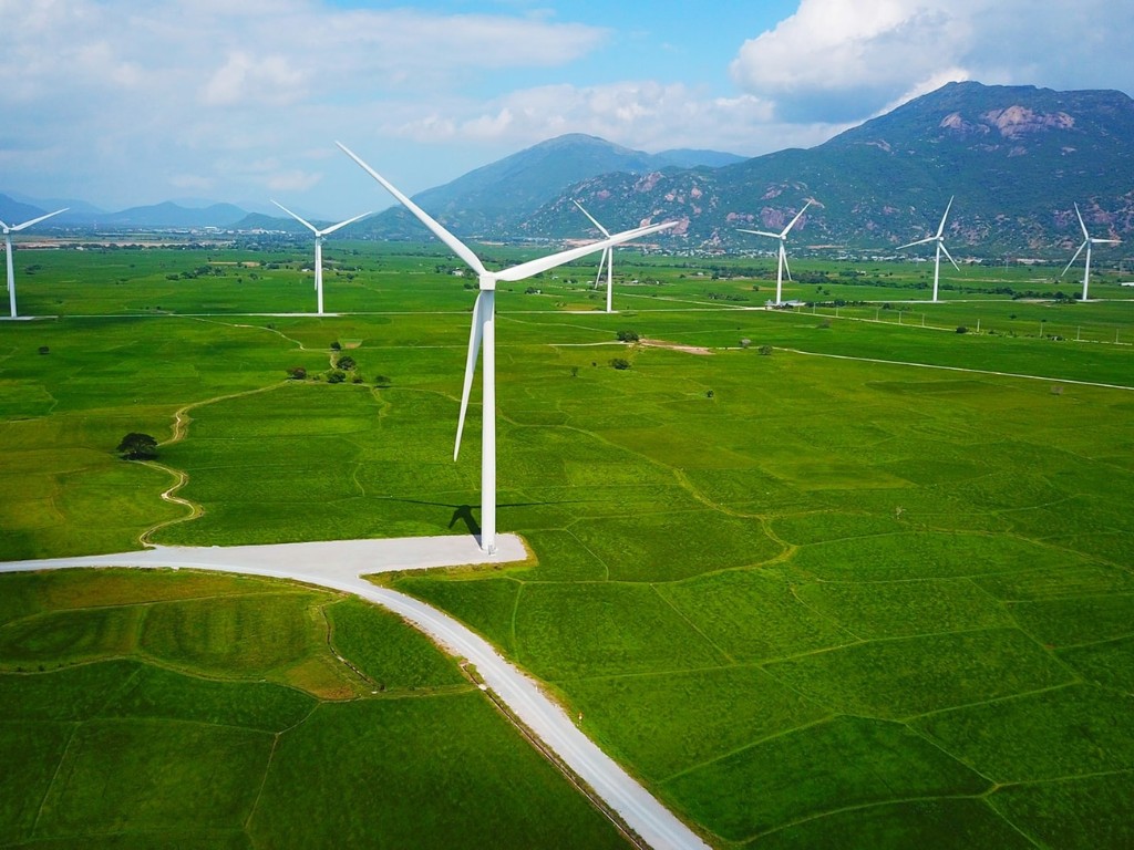 Cánh đồng quạt gió