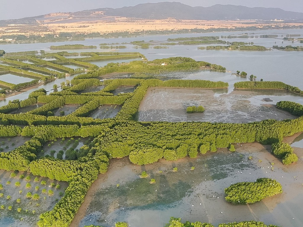 Quy Nhơn có gì đẹp