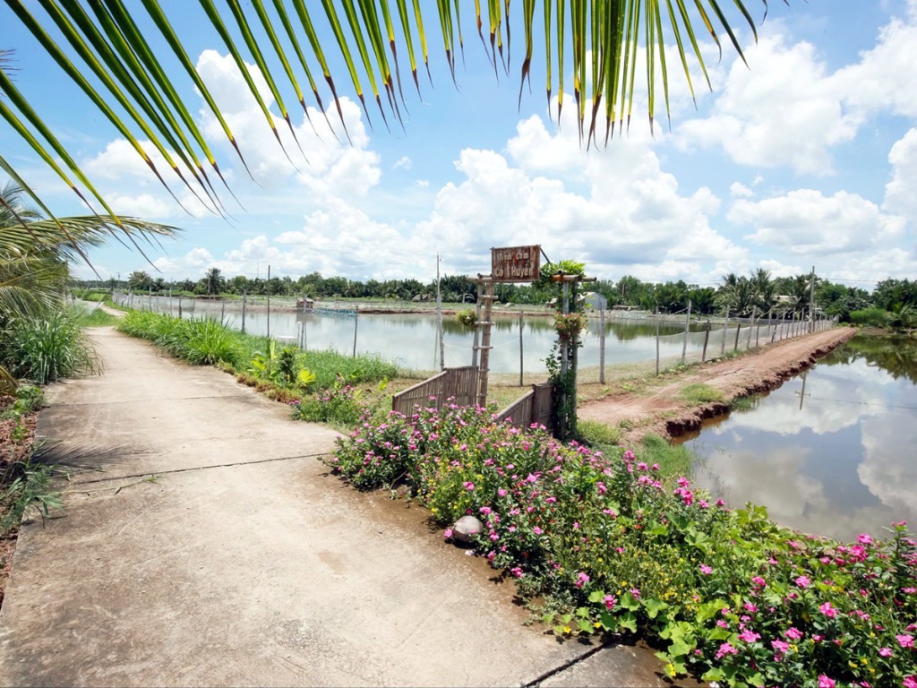 Quy Nhơn có gì đẹp