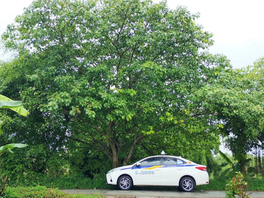 Taxi Quy Nhơn