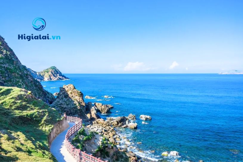 tour eo gió quy nhơn